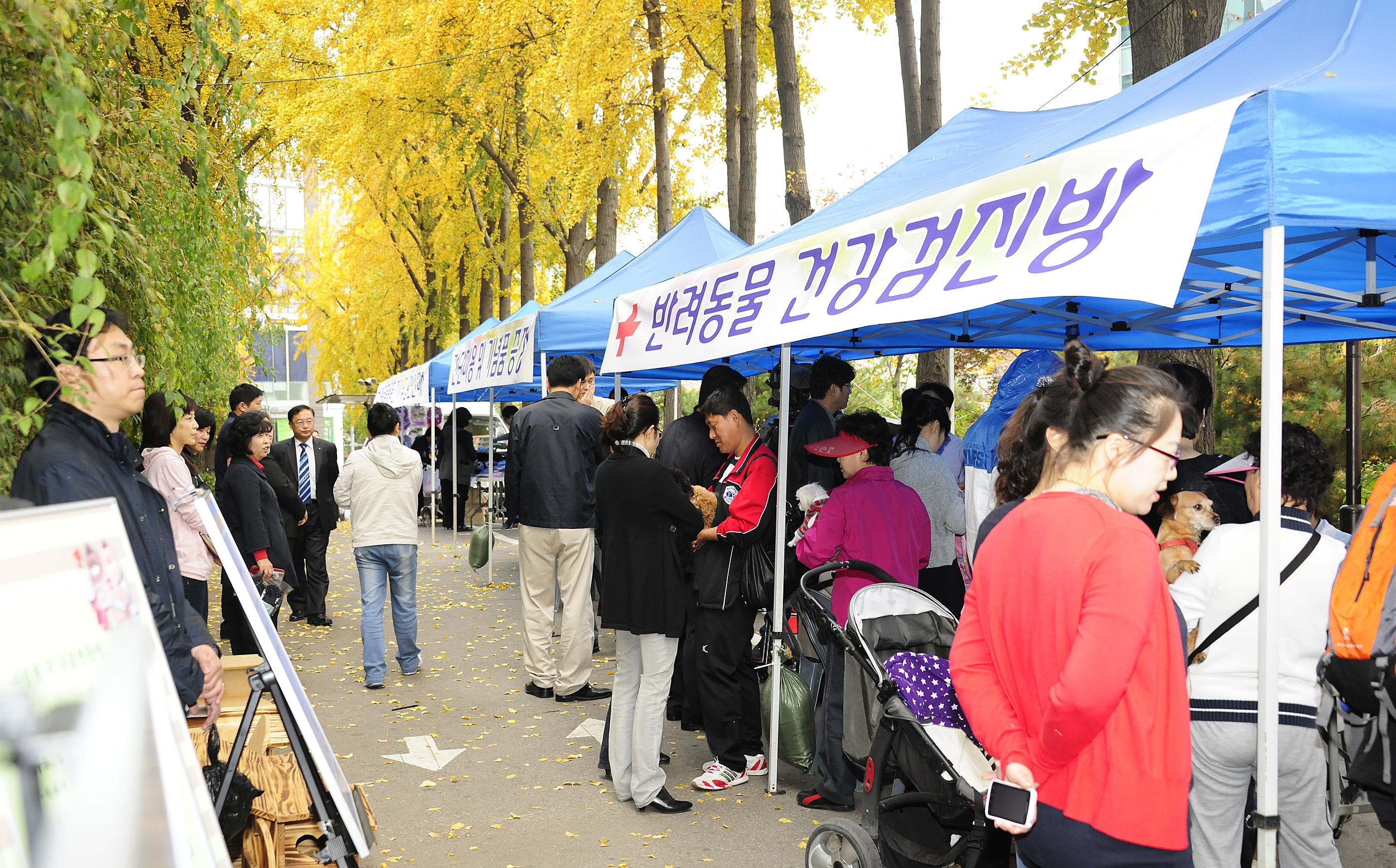 20111104-유기동물과 만남의 날 42905.JPG