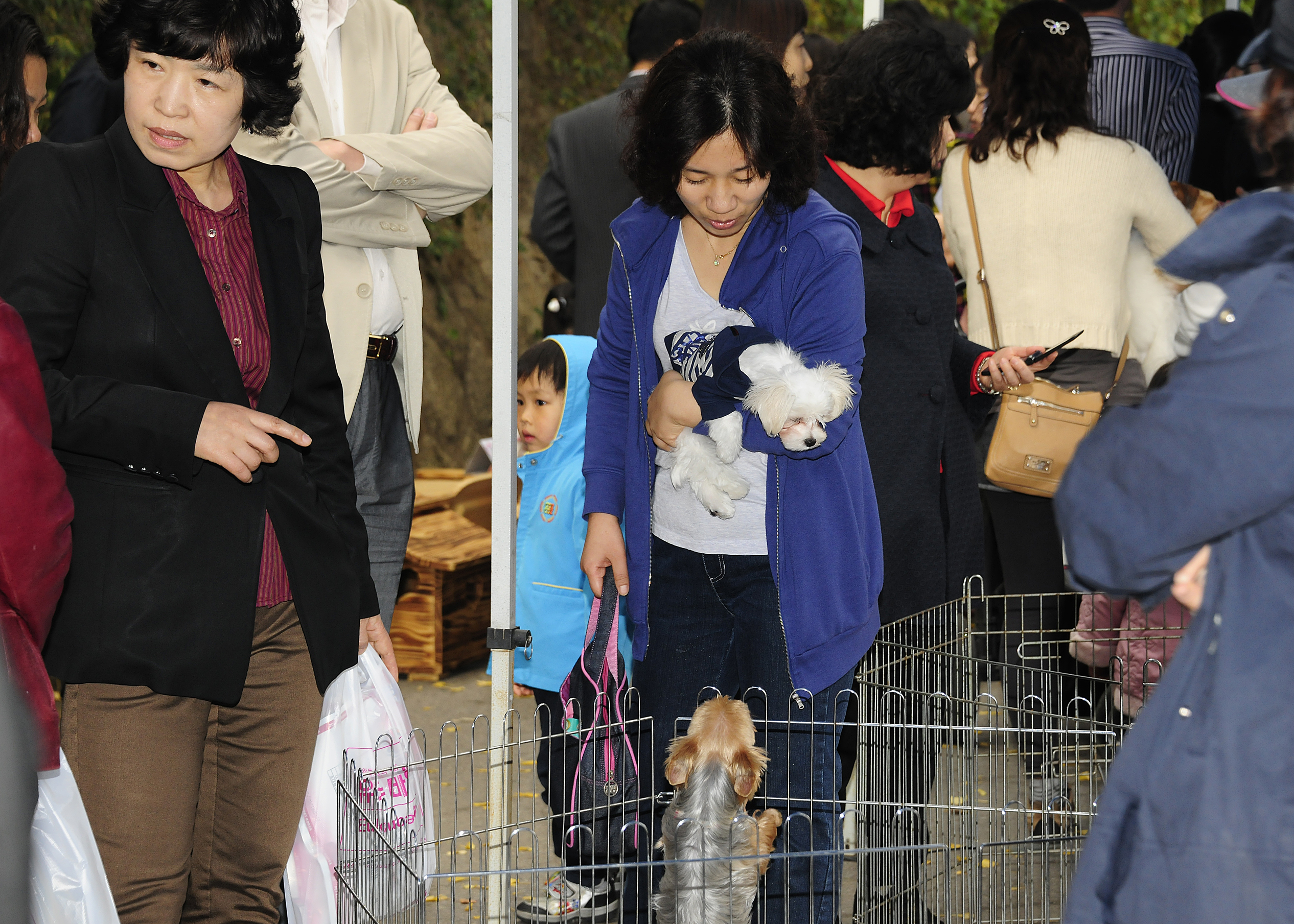 20111104-유기동물과 만남의 날 42906.JPG