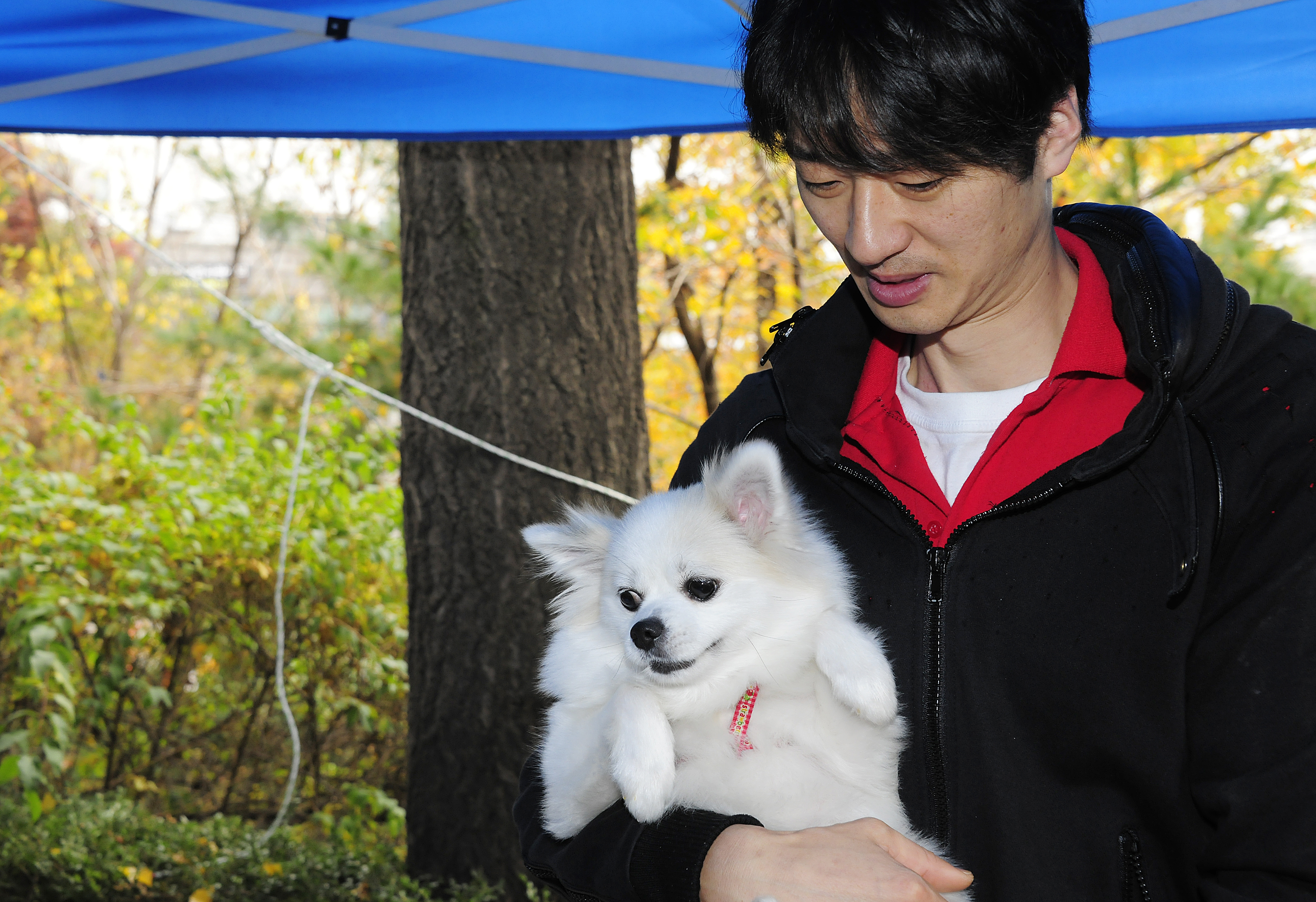20111104-유기동물과 만남의 날 42919.JPG