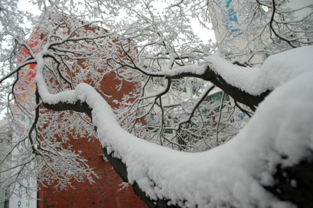 2006년 겨울 쉼터 풍경 I00000005509.JPG