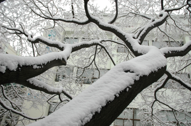 2006년 겨울 쉼터 풍경 I00000005511.JPG