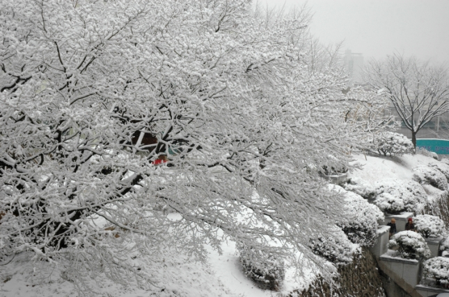 2006년 겨울 쉼터 풍경 I00000005512.JPG