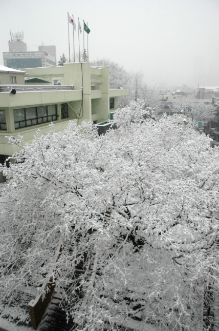 2006년 겨울 쉼터 풍경 I00000005513.JPG