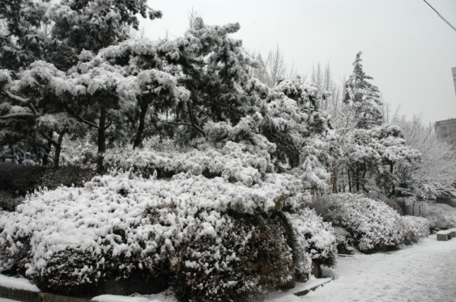 2006년 겨울 쉼터 풍경 I00000005500.JPG