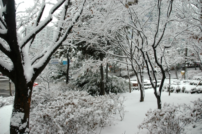 2006년 겨울 쉼터 풍경 I00000005503.JPG