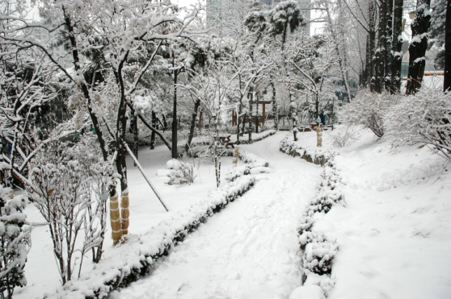 2006년 겨울 쉼터 풍경 I00000005505.JPG