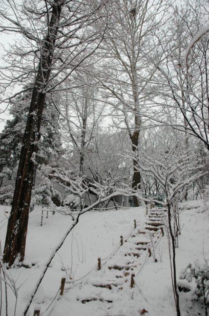 2006년 겨울 쉼터 풍경 I00000005506.JPG
