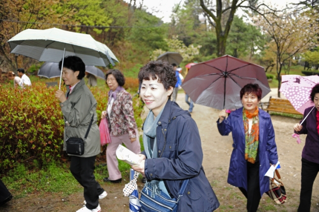 20110430-2011 문경전통찻사발축제 32173.JPG