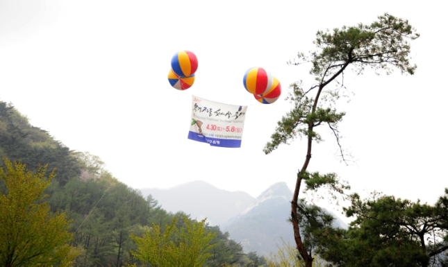 20110430-2011 문경전통찻사발축제 32174.JPG