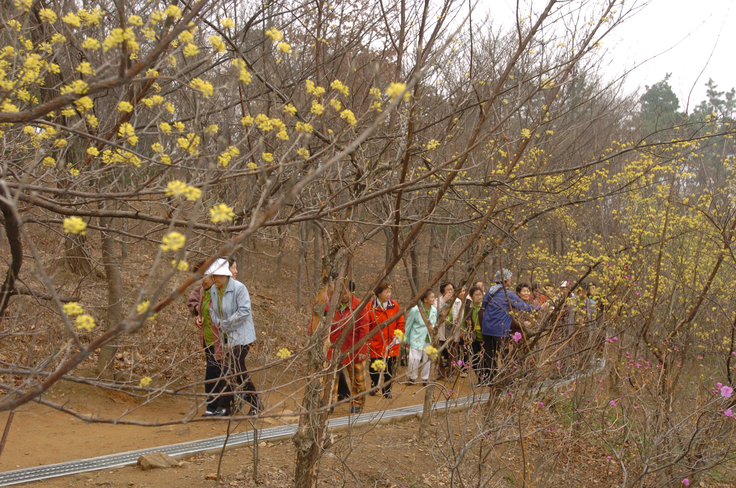 자양1동 새마을 부녀회 효나들이 I00000002922.JPG