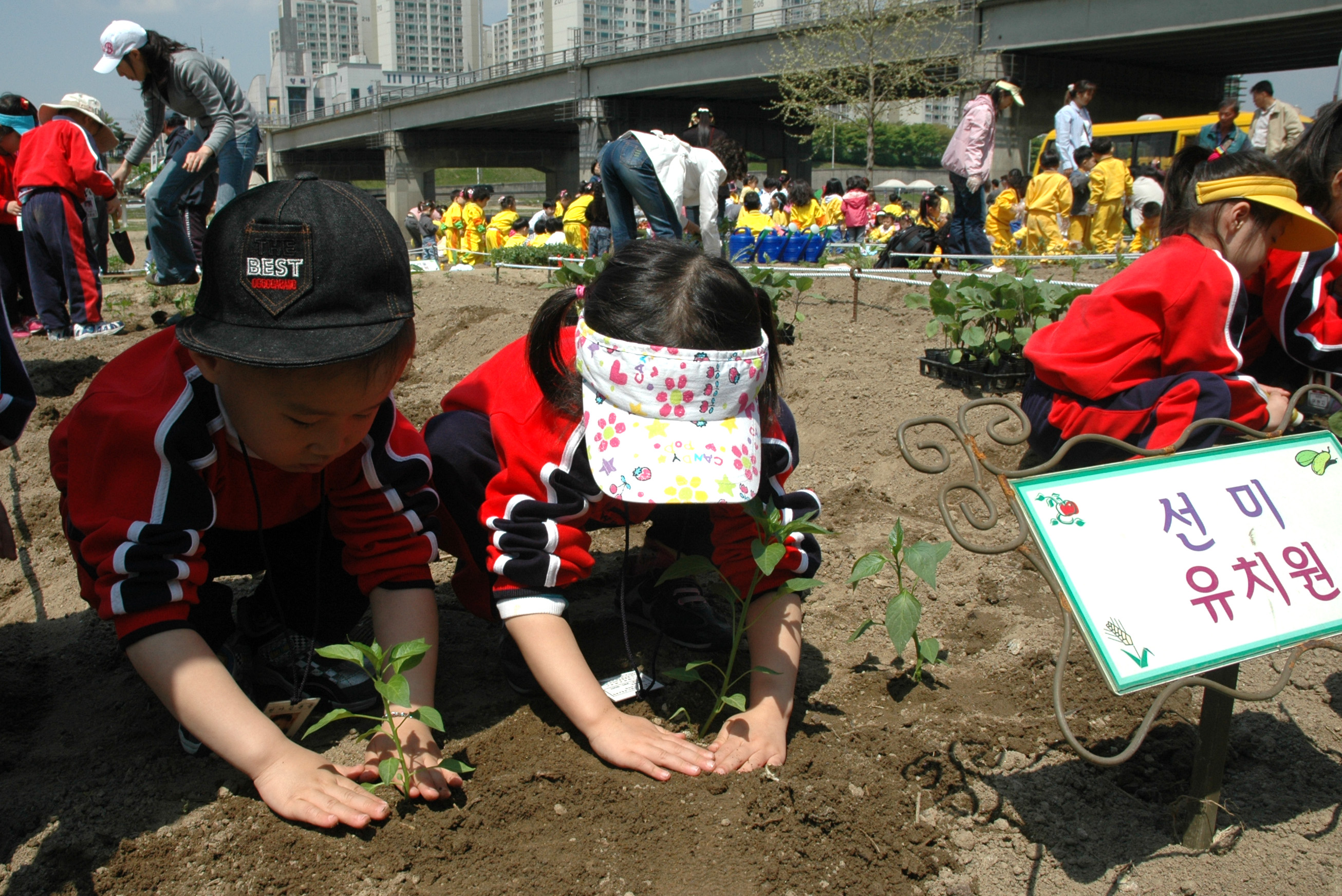 중랑천둔치 자연학습장 가꾸기 I00000005807.JPG