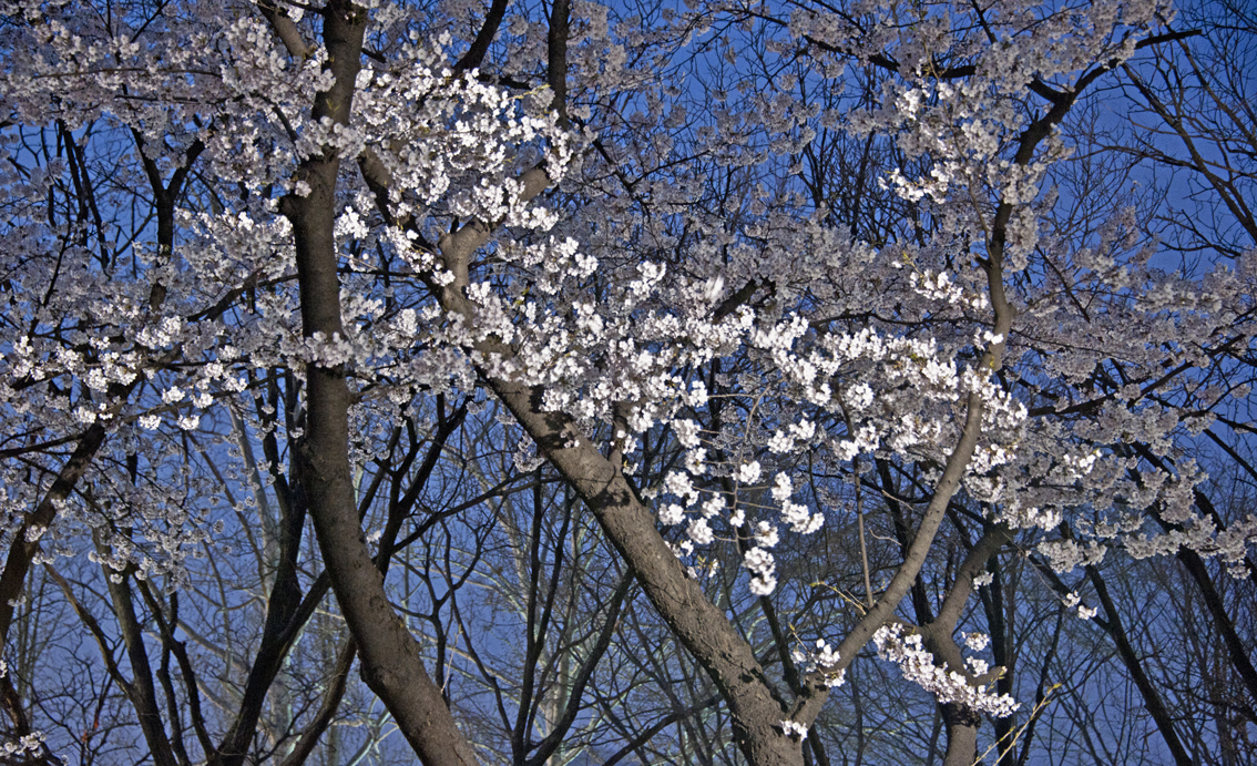 20110414-어린이 대공원에서