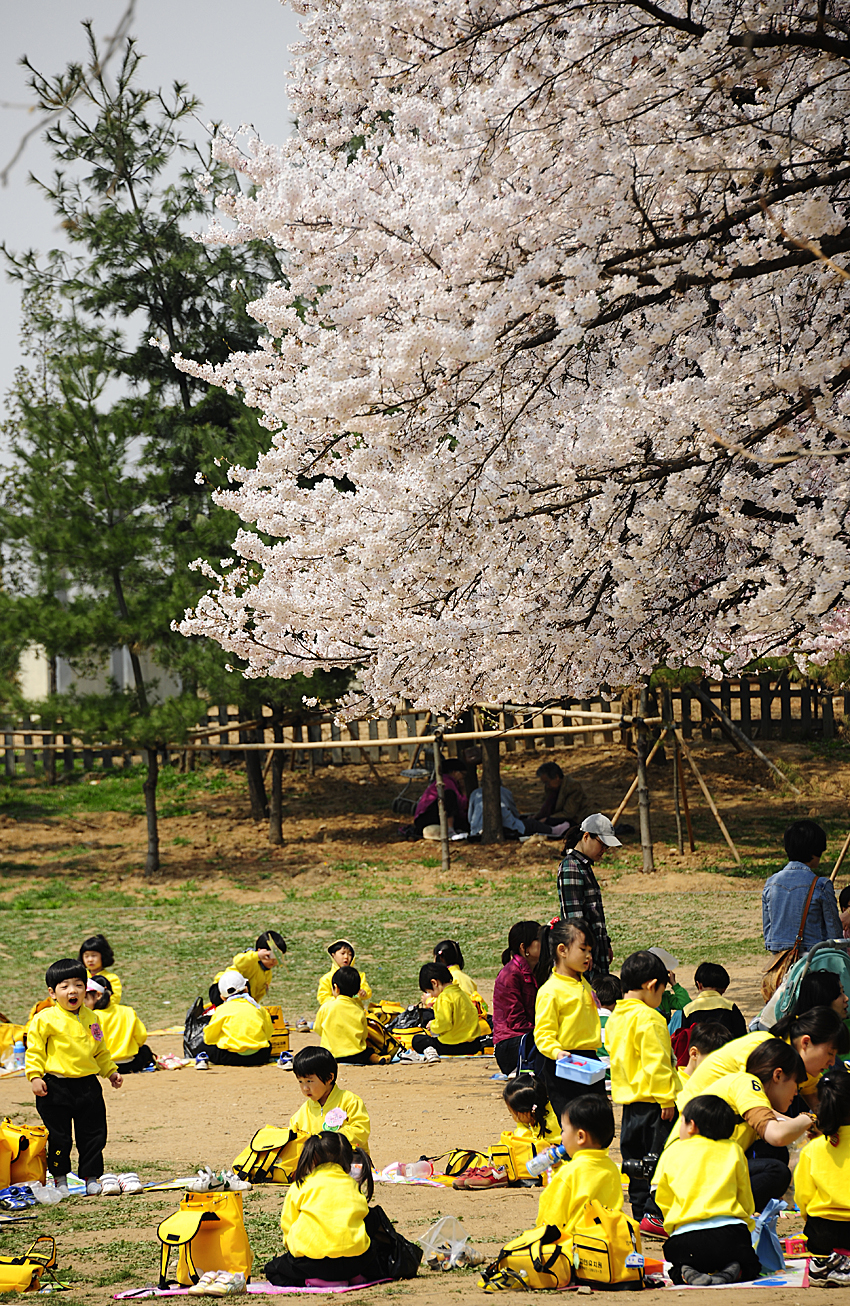 20110414-어린이 대공원에서 30532.JPG