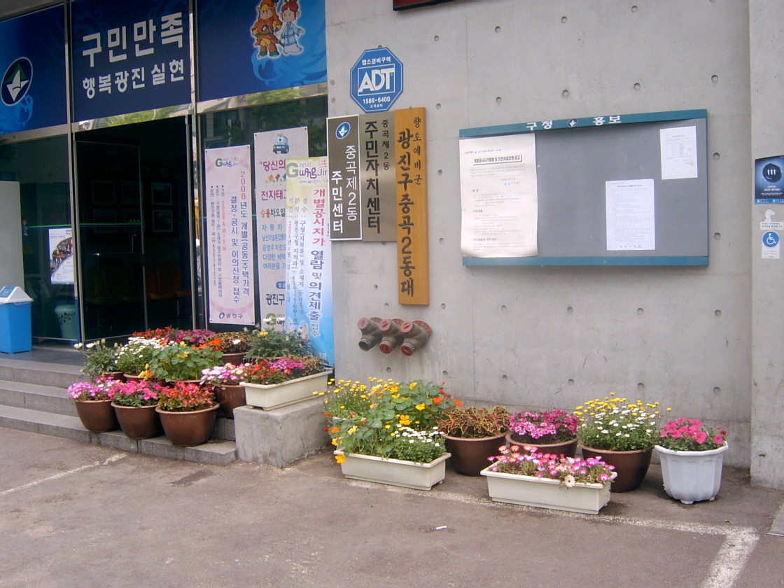 동 청사 앞 꽃묘 식재 (후) 20080527JPG13365101.JPG