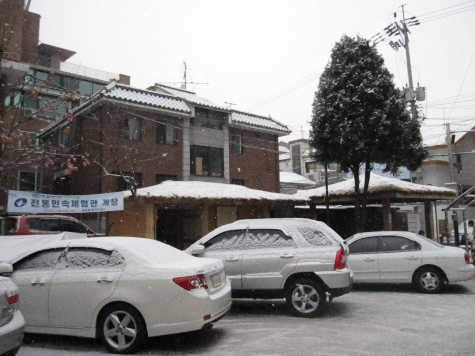 12월17일 중곡1동 주민센터-눈오는풍경   20101217JPG09145801.JPG