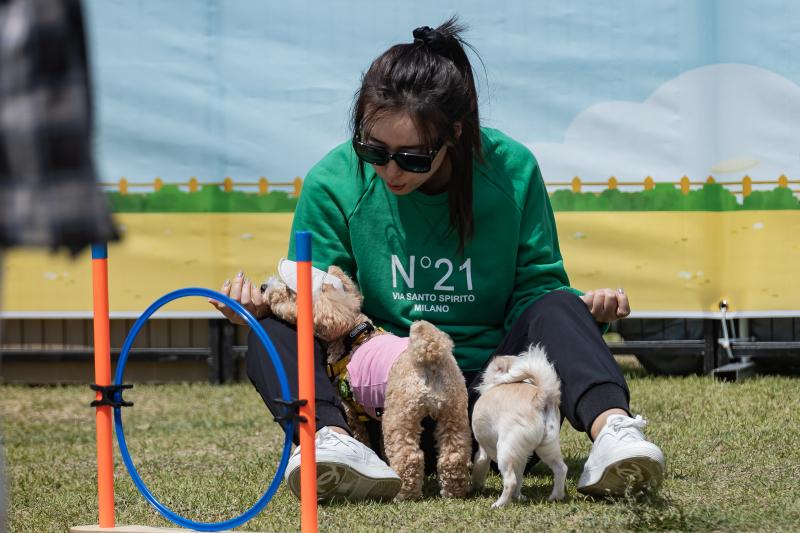 20240510-2024 광진구 이동식 반려견 놀이터 '댕댕이 놀이터' 240510_0533_G_1_152806.jpg