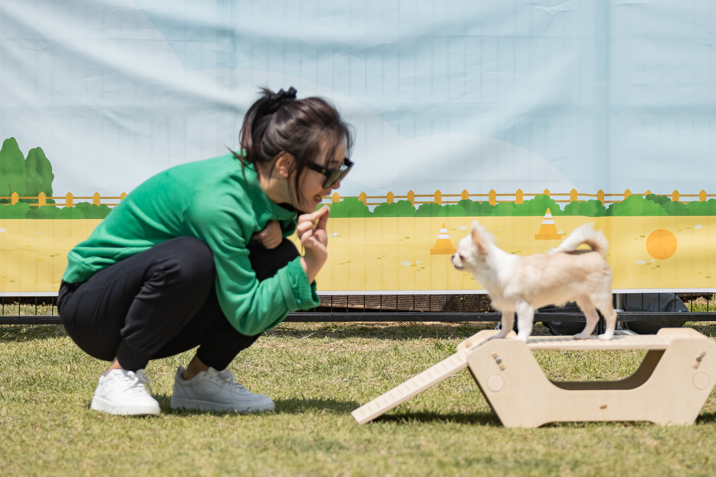 20240510-2024 광진구 이동식 반려견 놀이터 '댕댕이 놀이터' 240510_0569_G_152806.jpg