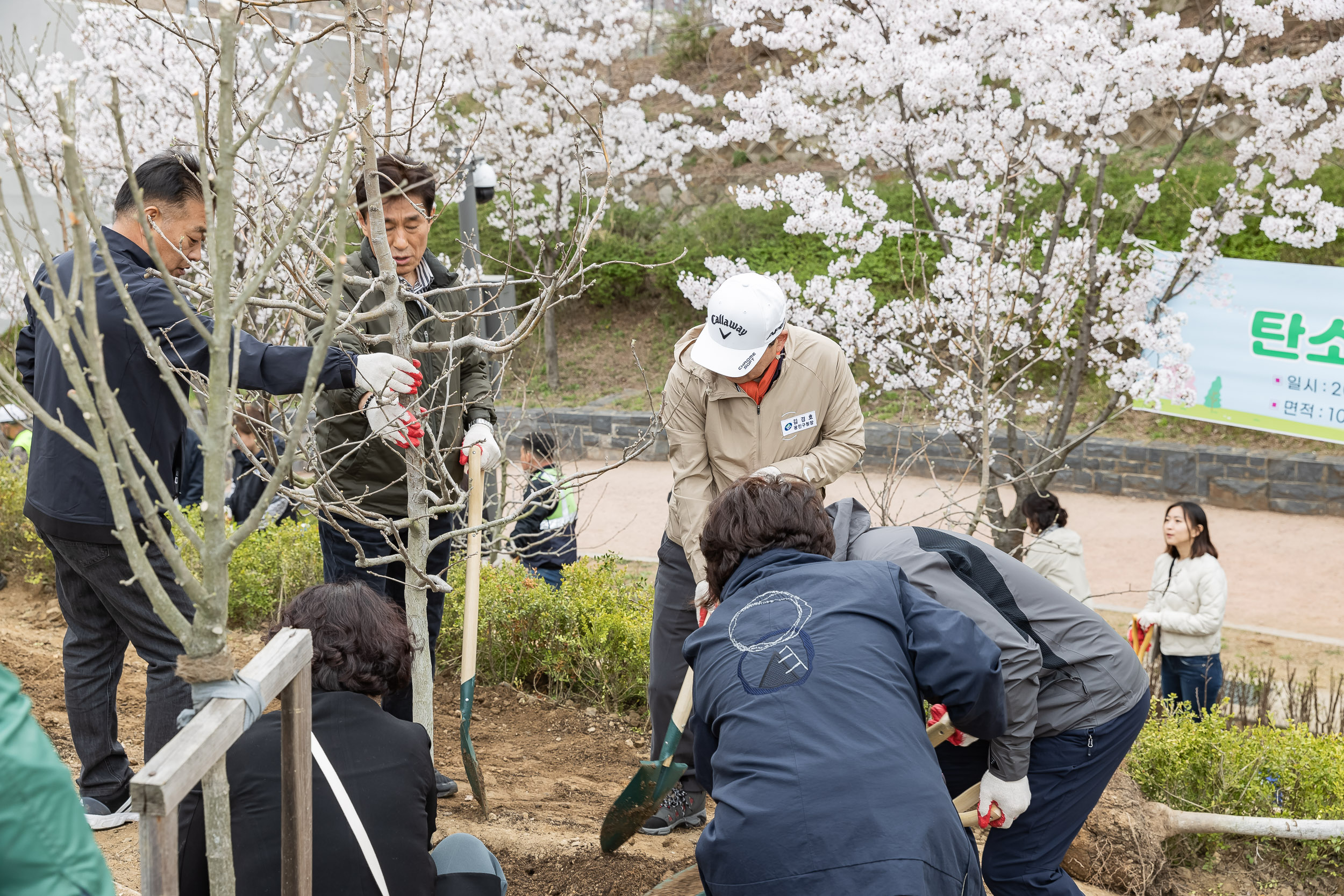 20240405-제29회 식목일기념 탄소중립 직원 나무심기 행사 240405_0203_G_085901.jpg