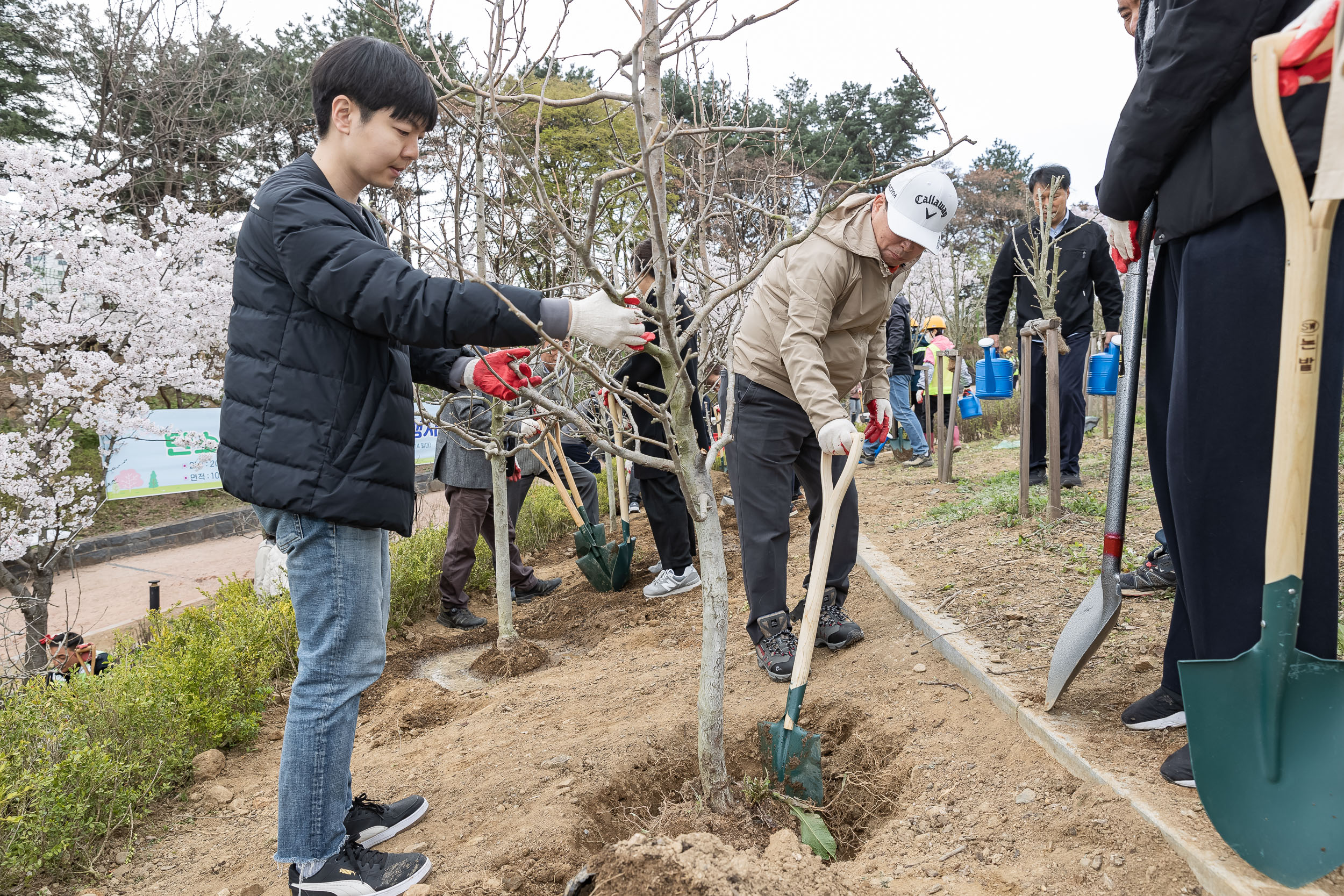 20240405-제29회 식목일기념 탄소중립 직원 나무심기 행사 240405_0261_G_085902.jpg