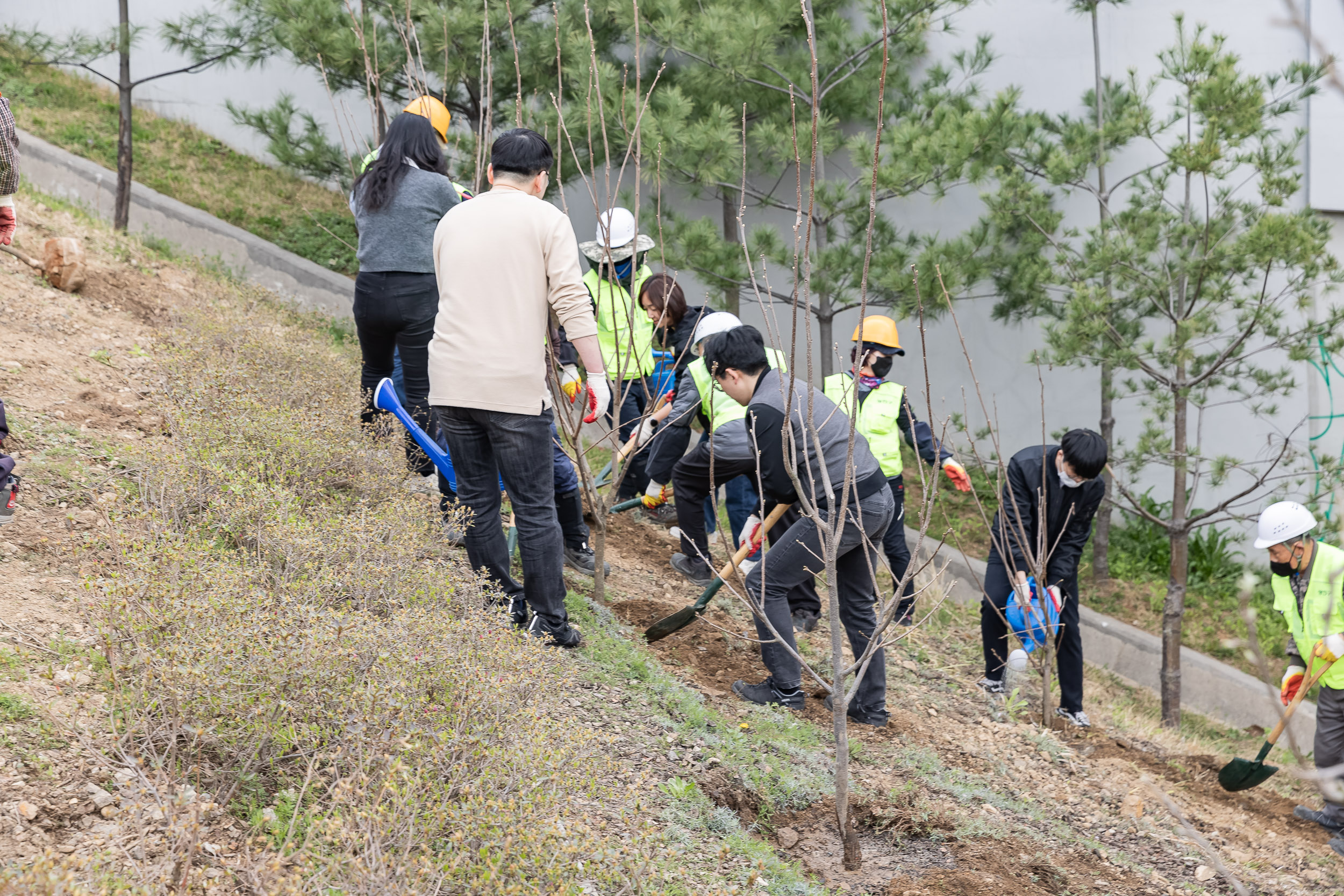 20240405-제29회 식목일기념 탄소중립 직원 나무심기 행사 240405_0290_G_085902.jpg