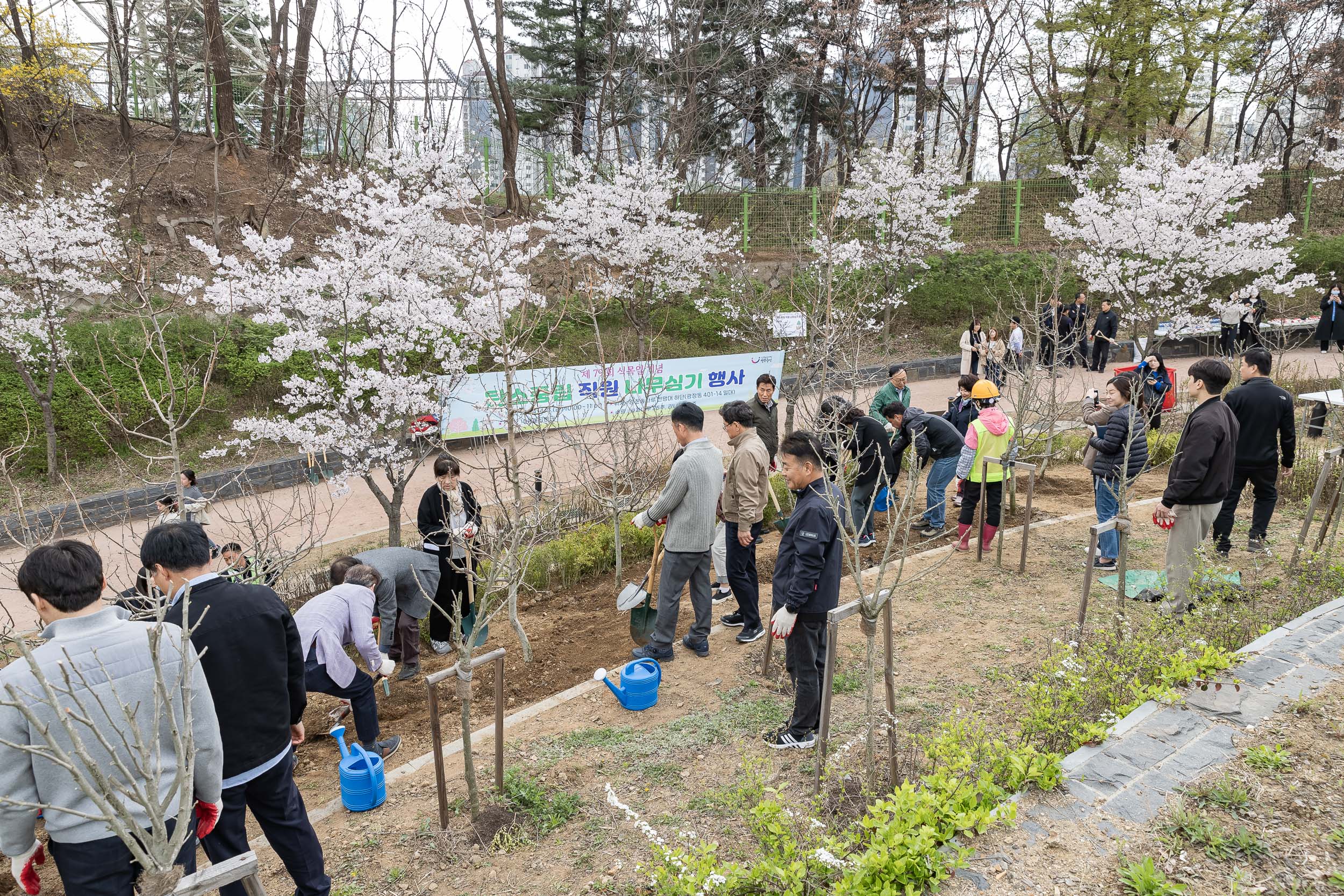 20240405-제29회 식목일기념 탄소중립 직원 나무심기 행사