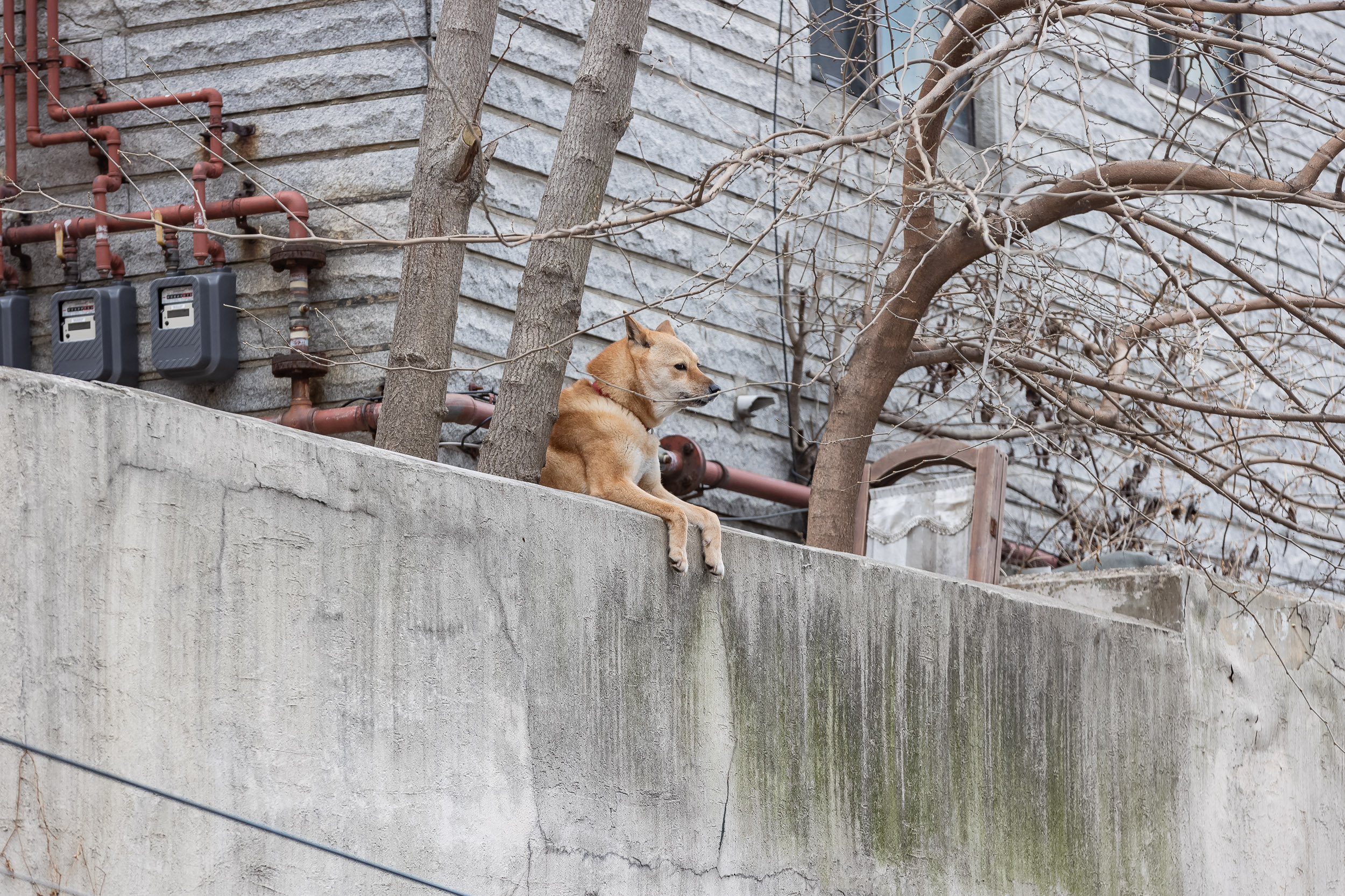 20240325-관내 경로당 리모델링 공사현장 방문 240325_0242_G_144032.jpg