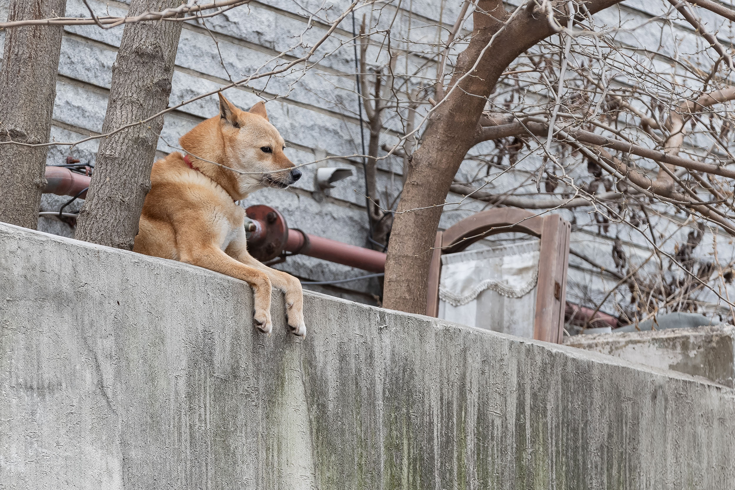 20240325-관내 경로당 리모델링 공사현장 방문 240325_0251_G_144032.jpg