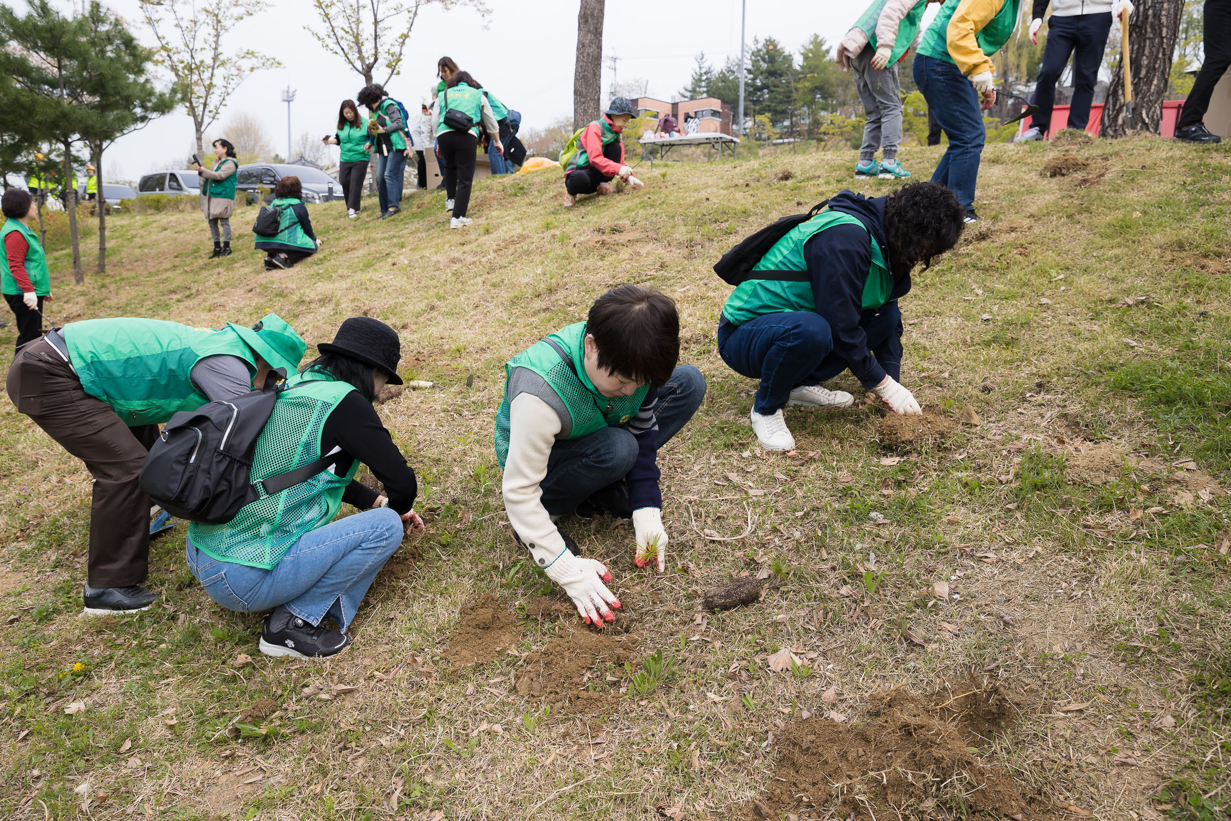 20240411-제79회 식목일 기념 새마을회 나무심기 행사 240411_0319_G_170954.jpg