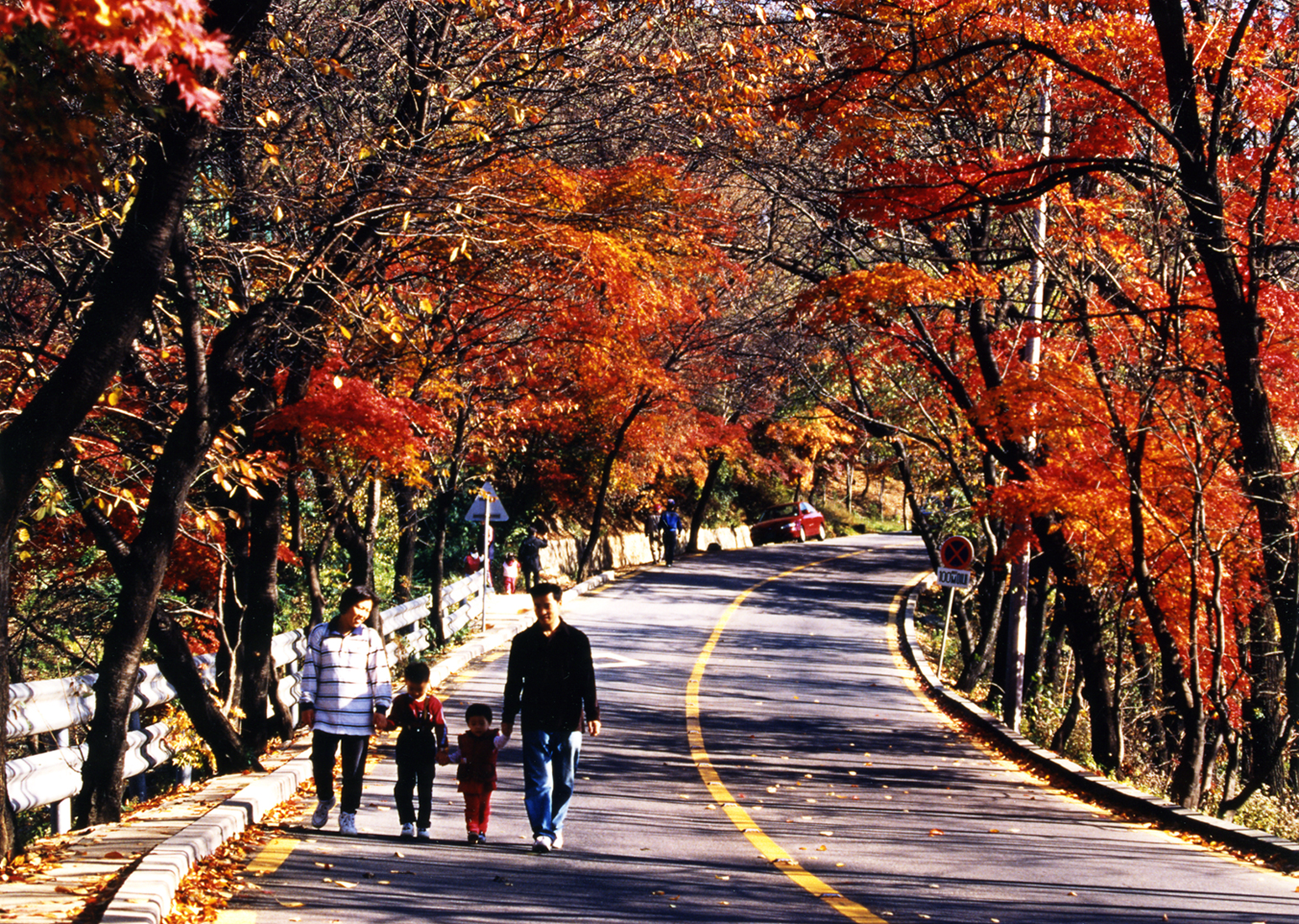 20151029-광진구의 아름다운 단풍길 127613.JPG