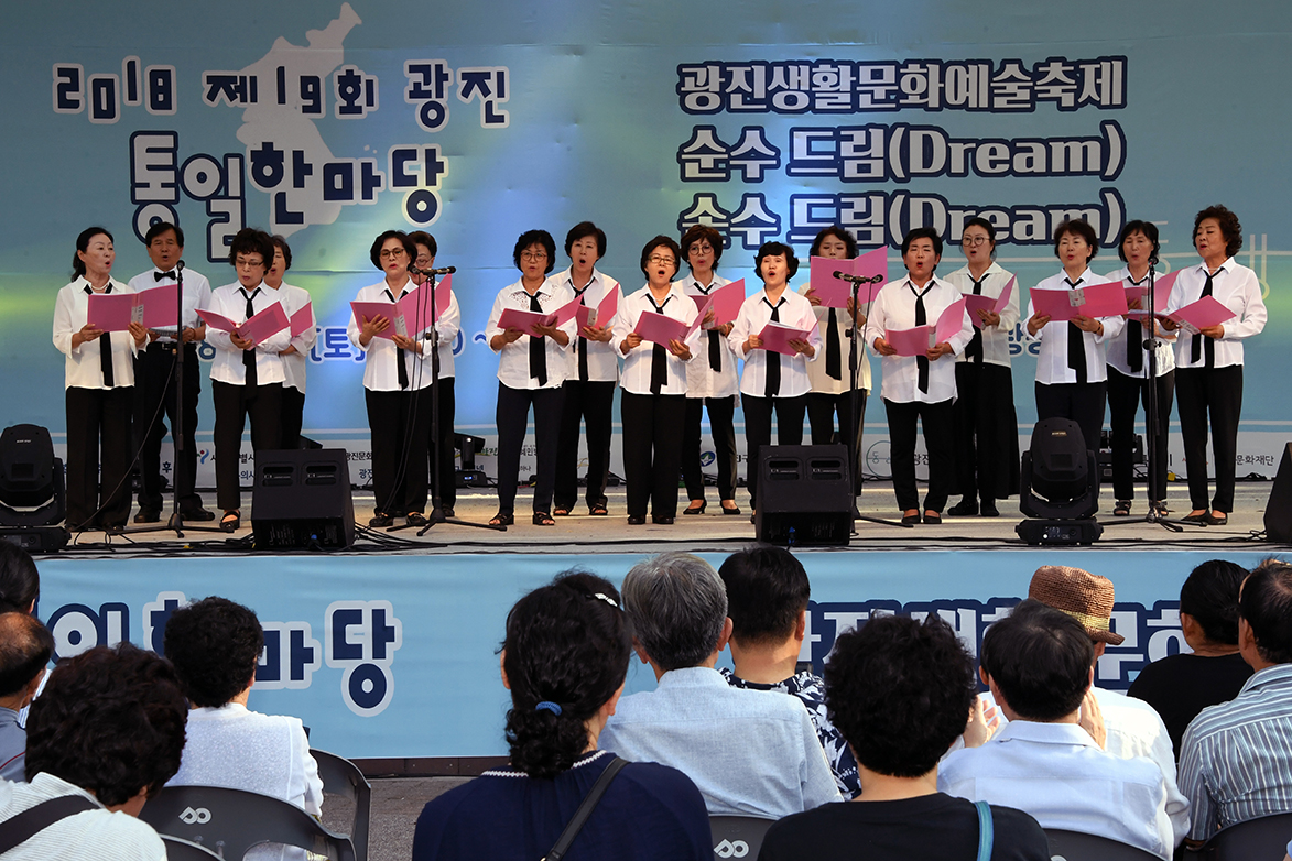 20180825-광진 통일한마당 및 광진생활문화예술축제 174994.jpg