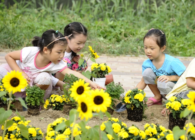 20130909-중량천 국화심기 85186.JPG