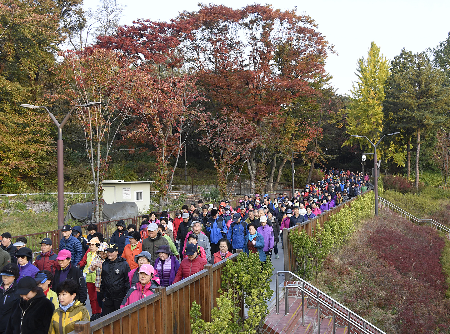 20171025-광진구민 한가족 건강 걷기대회 163345.jpg