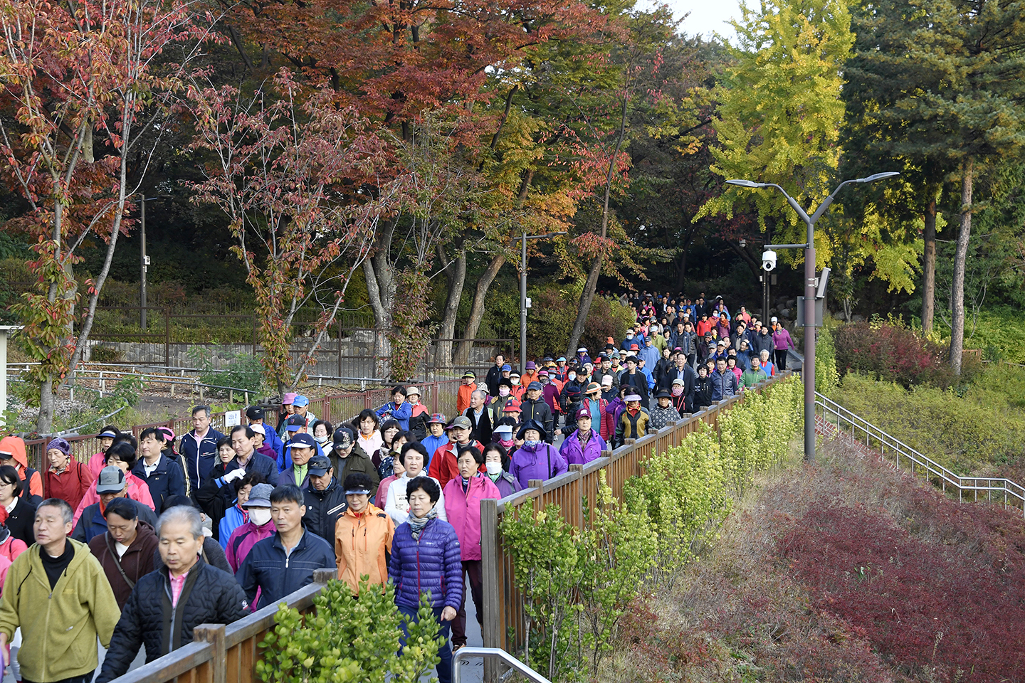 20171025-광진구민 한가족 건강 걷기대회 163347.jpg