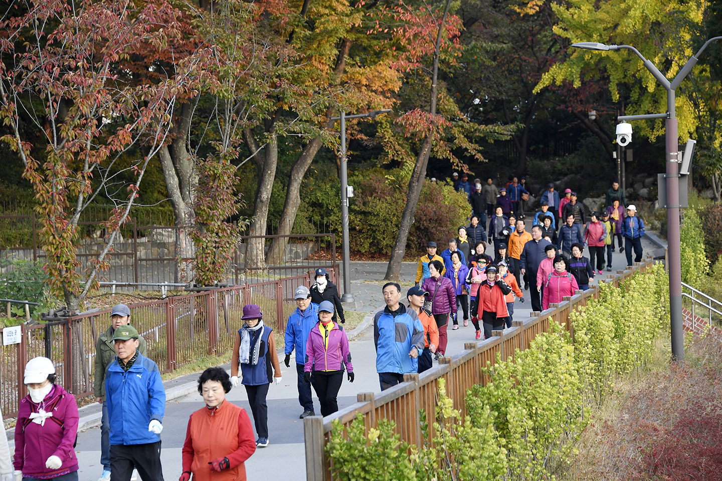 20171025-광진구민 한가족 건강 걷기대회 163333.jpg