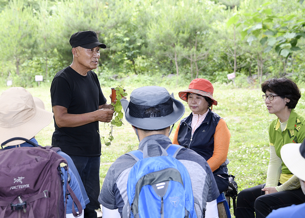 20170630-약초학교 현장학습 157535.jpg