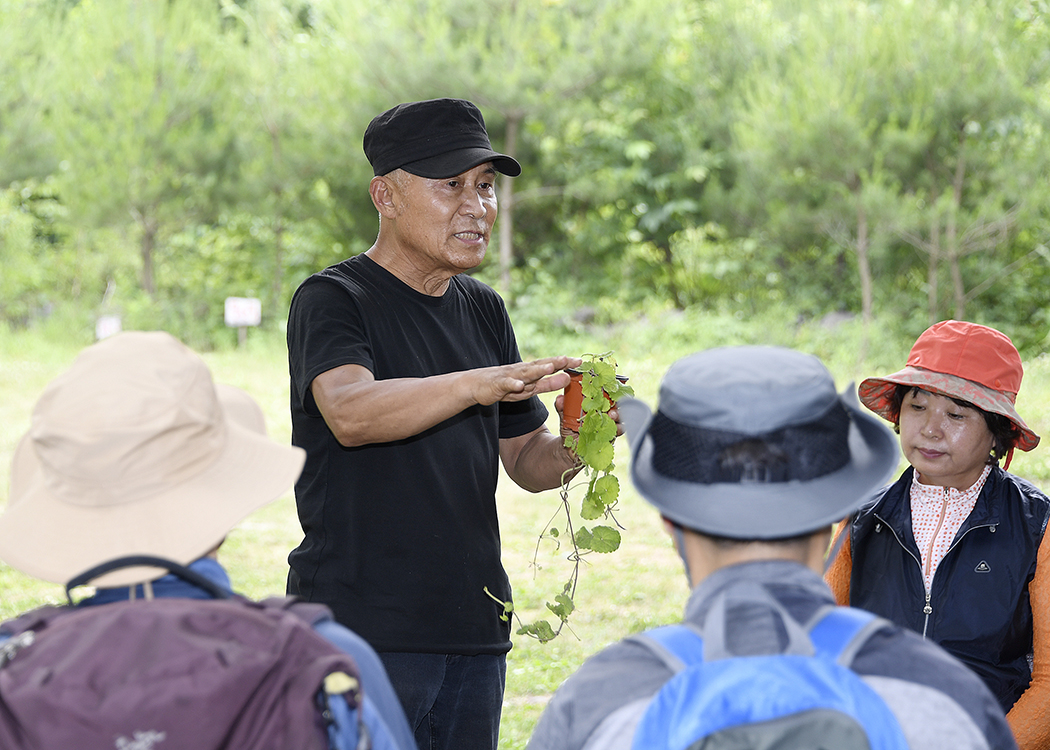 20170630-약초학교 현장학습 157537.jpg