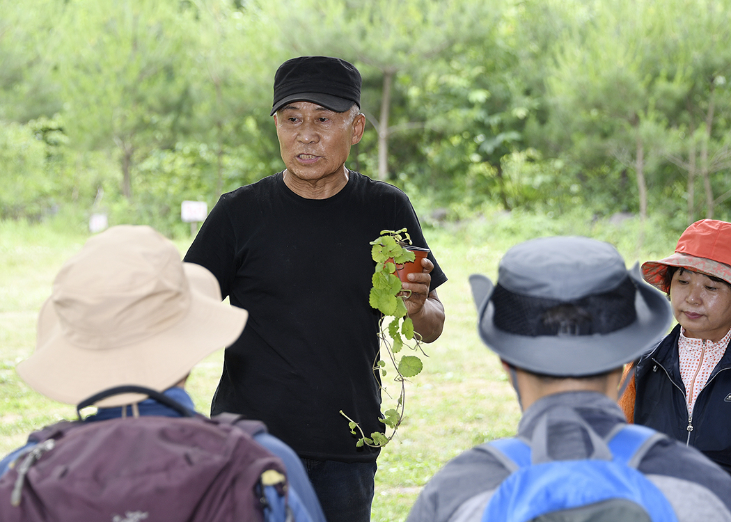 20170630-약초학교 현장학습 157540.jpg