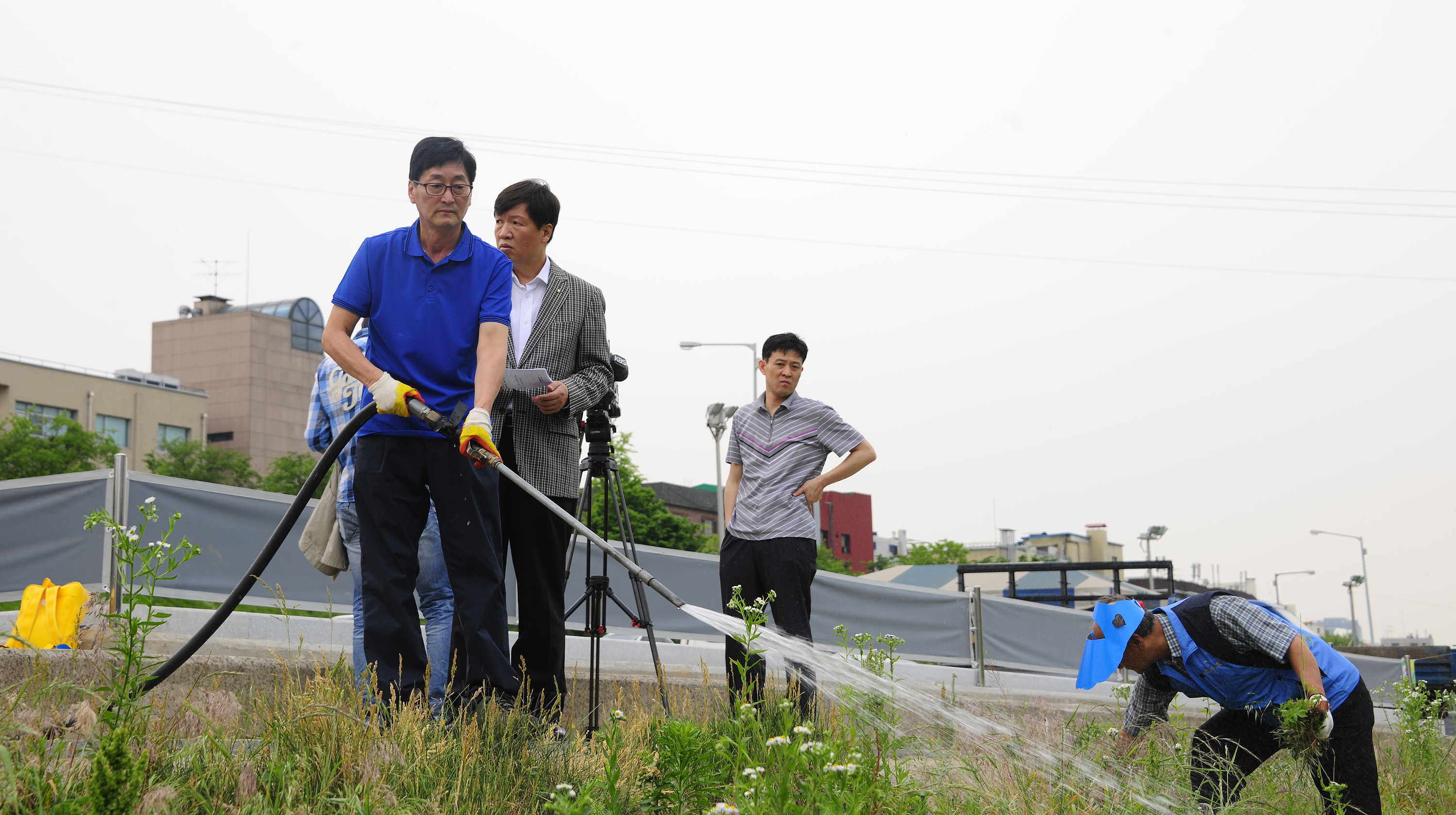 20120529-중랑천 위해식물 제거 및 콩심기 행사 55277.JPG