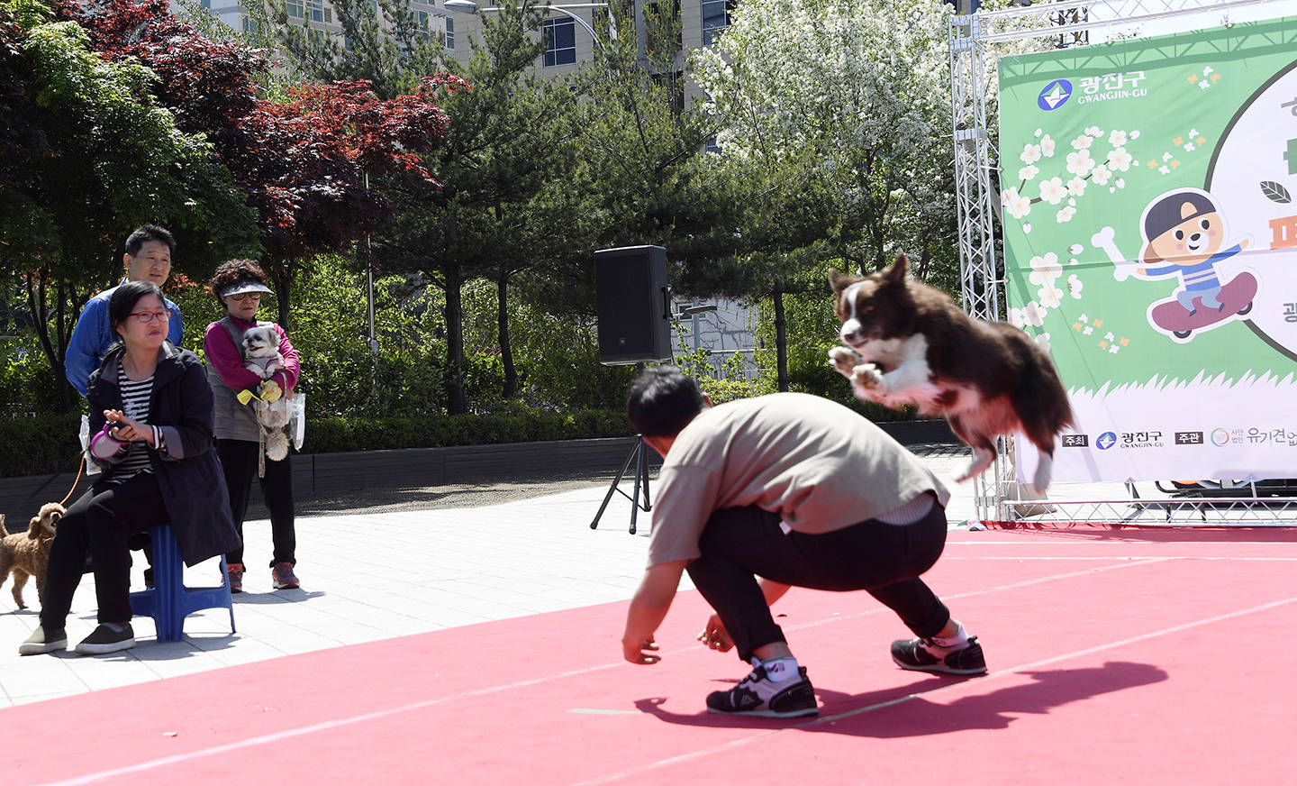 20180504-반려동물 페스티발 172844.jpg