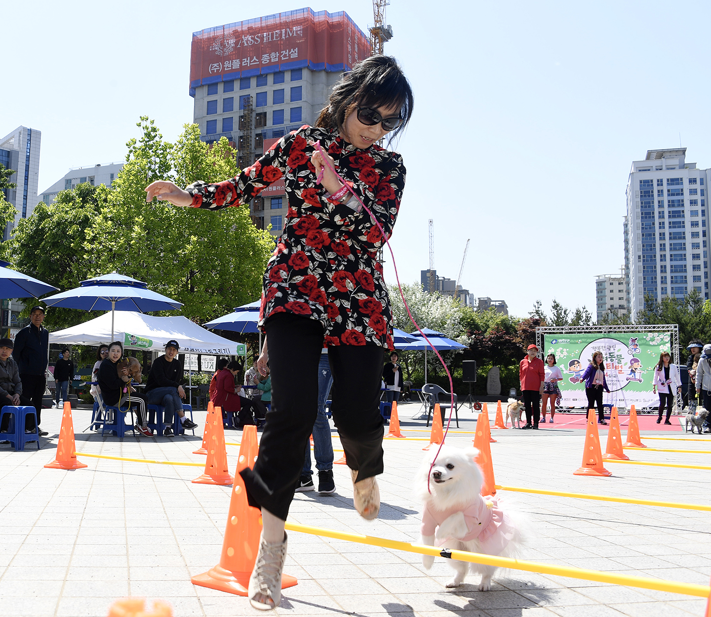 20180504-반려동물 페스티발 172830.jpg