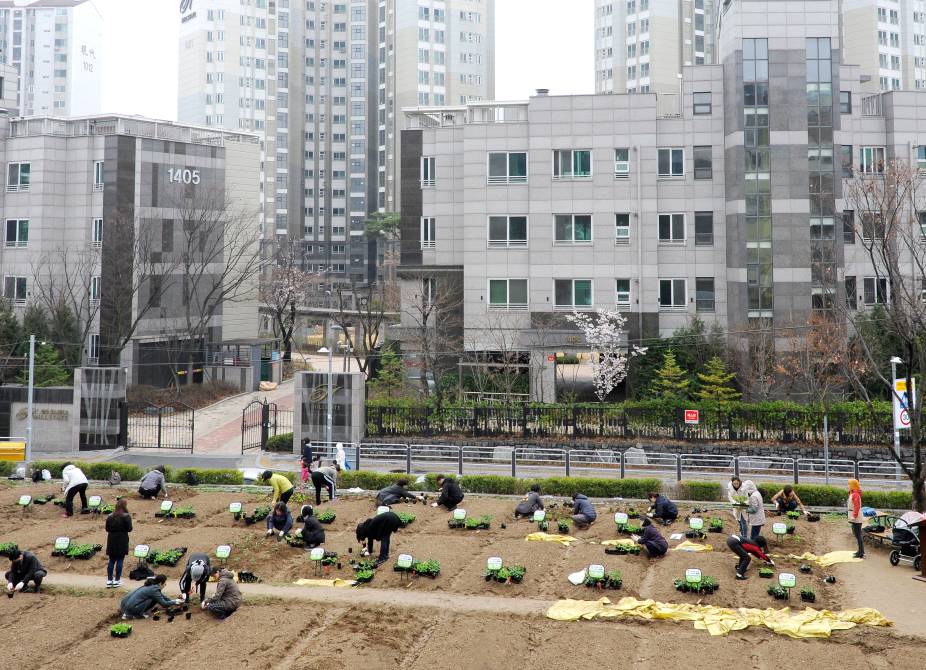 20170406-도시농업 자투리텃밭 가꾸기 (광장동)