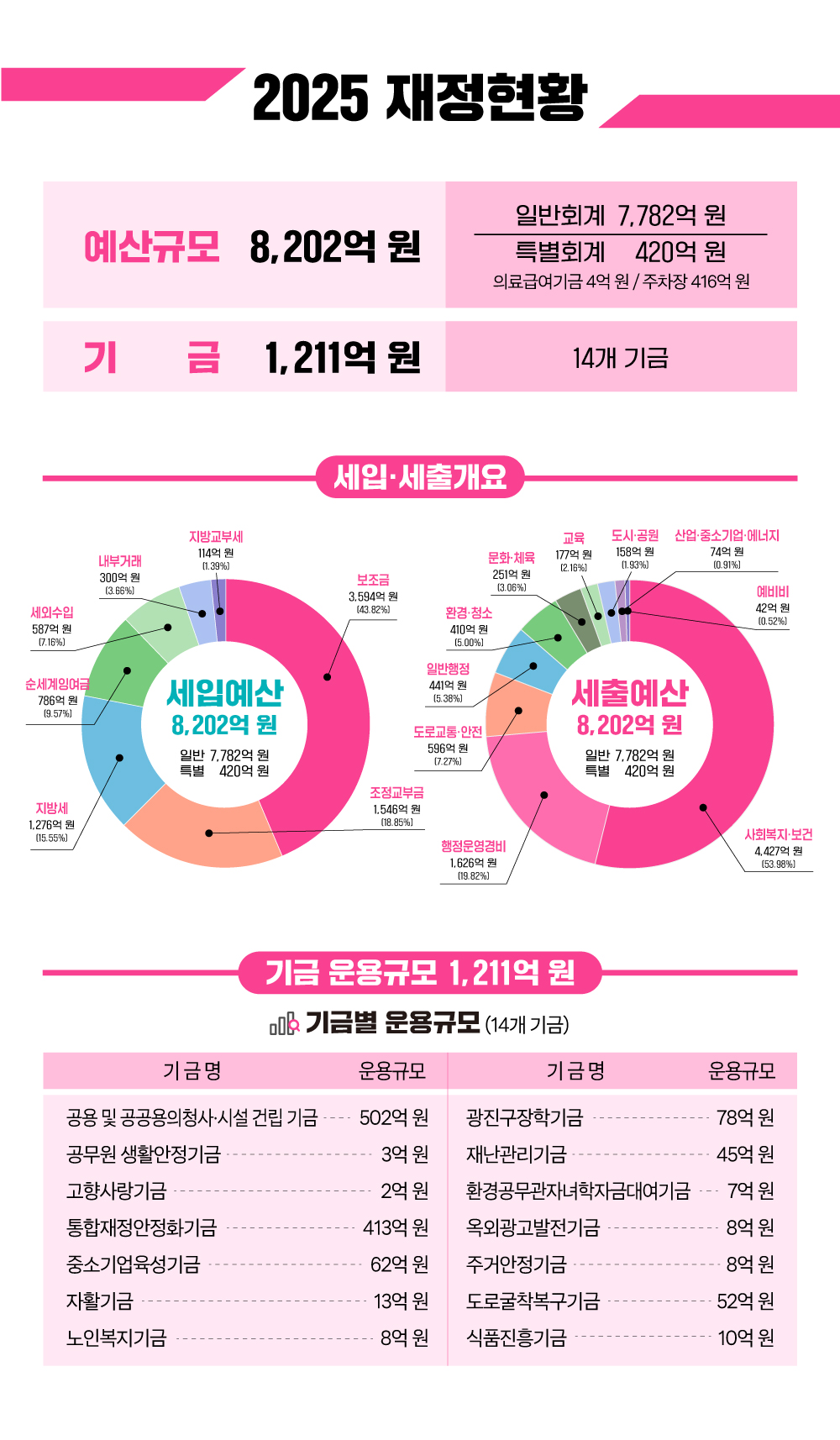 2025 재정현황