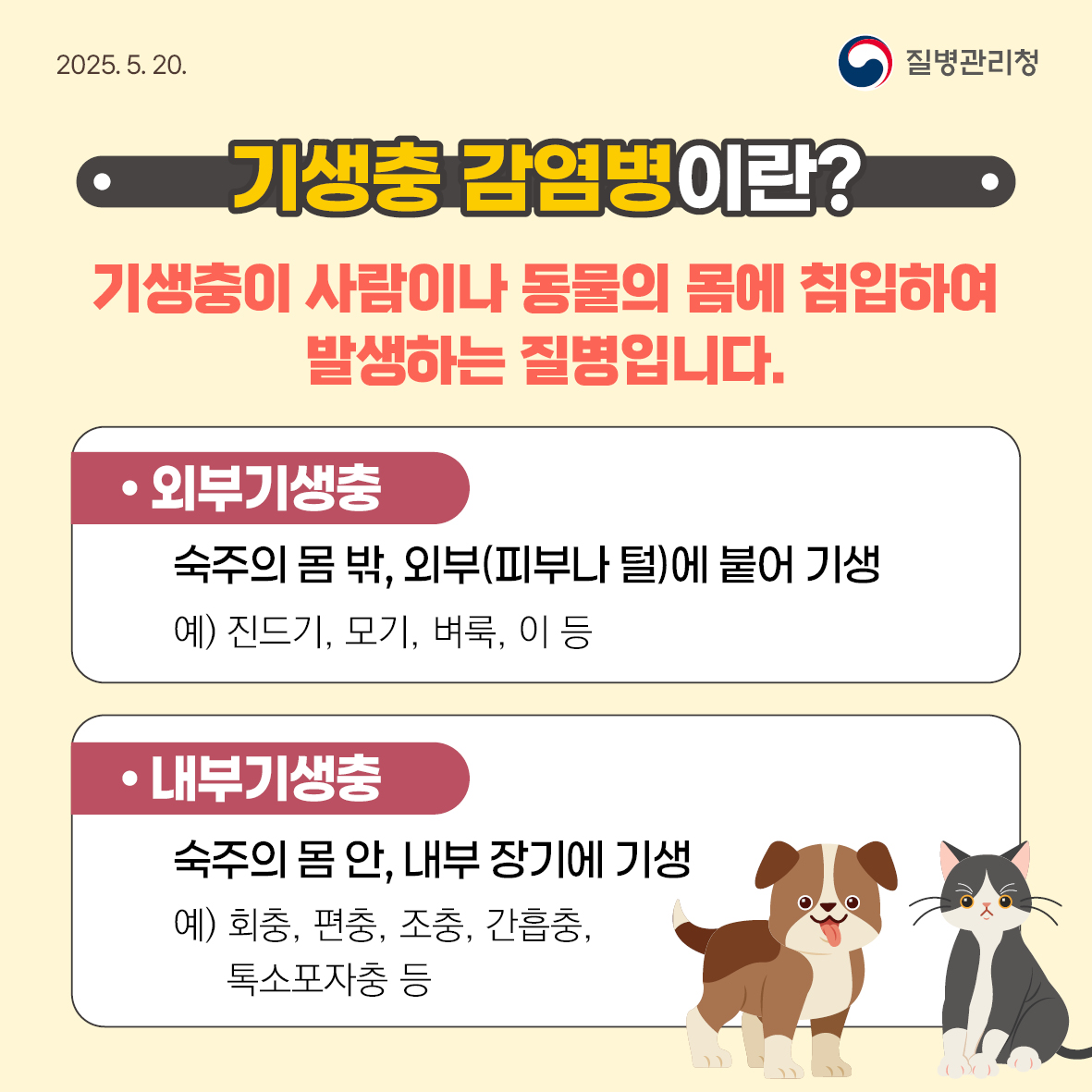 기생충감염병 예방수칙