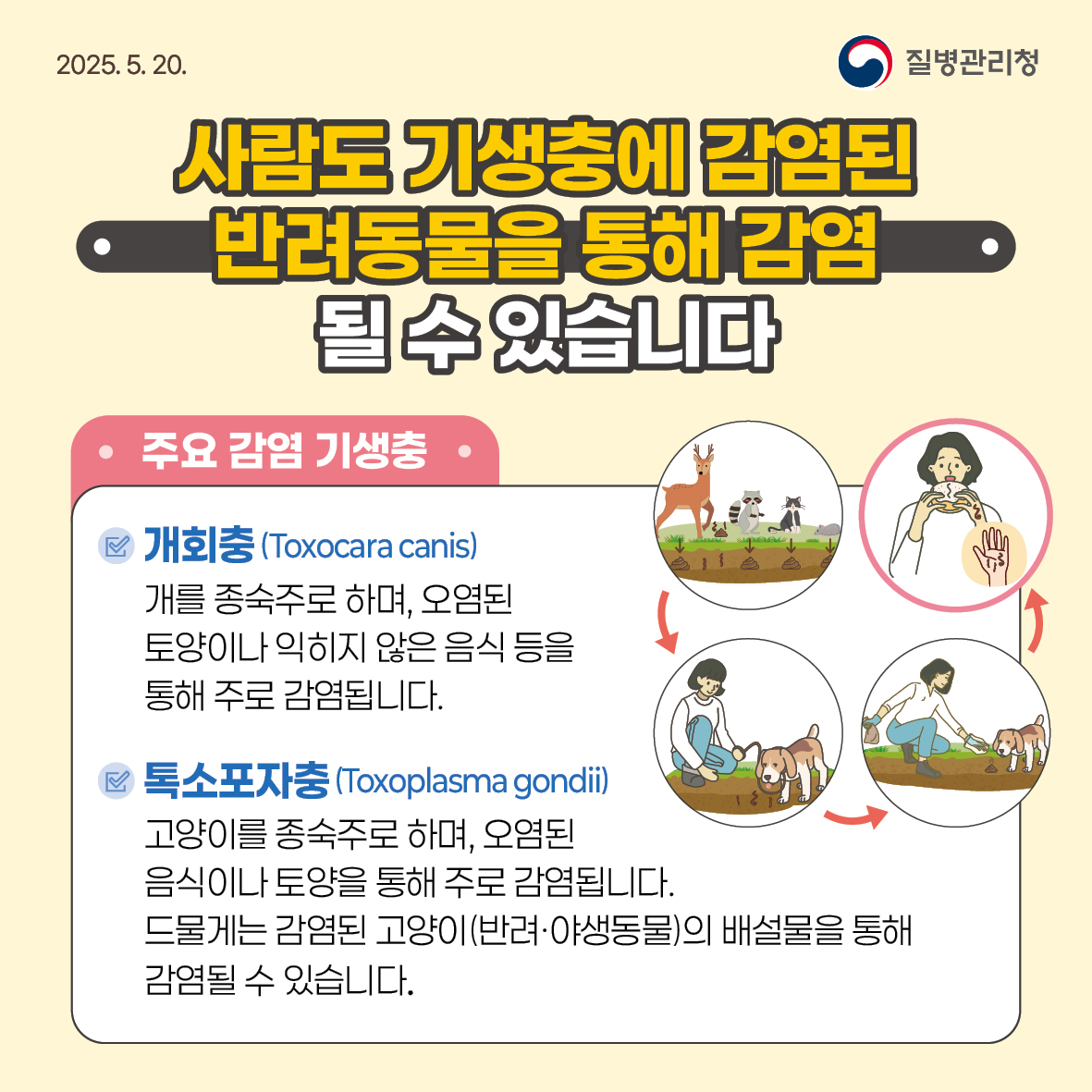 기생충감염병 예방수칙