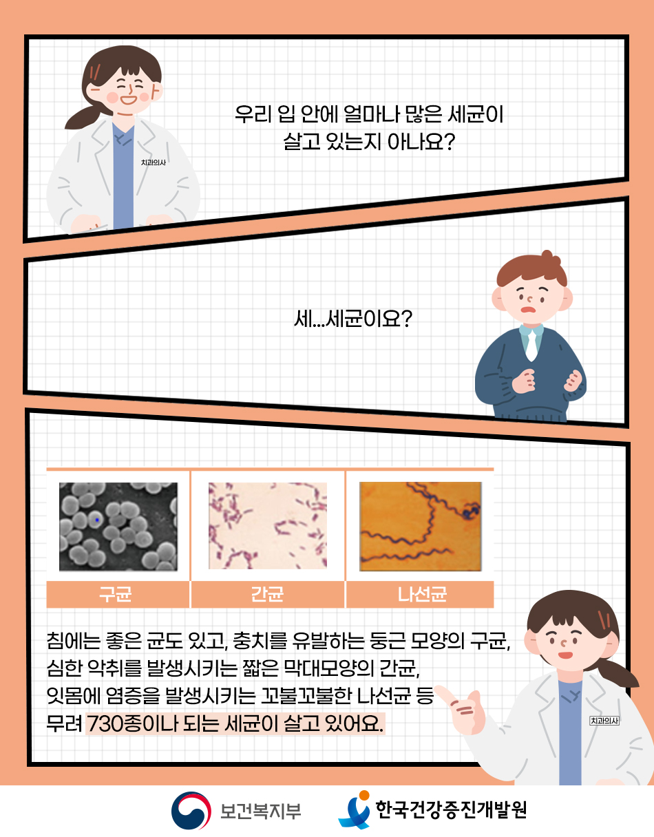 입 속에는 구강질환을 유발하는 730종의 세균이 살고 있음.