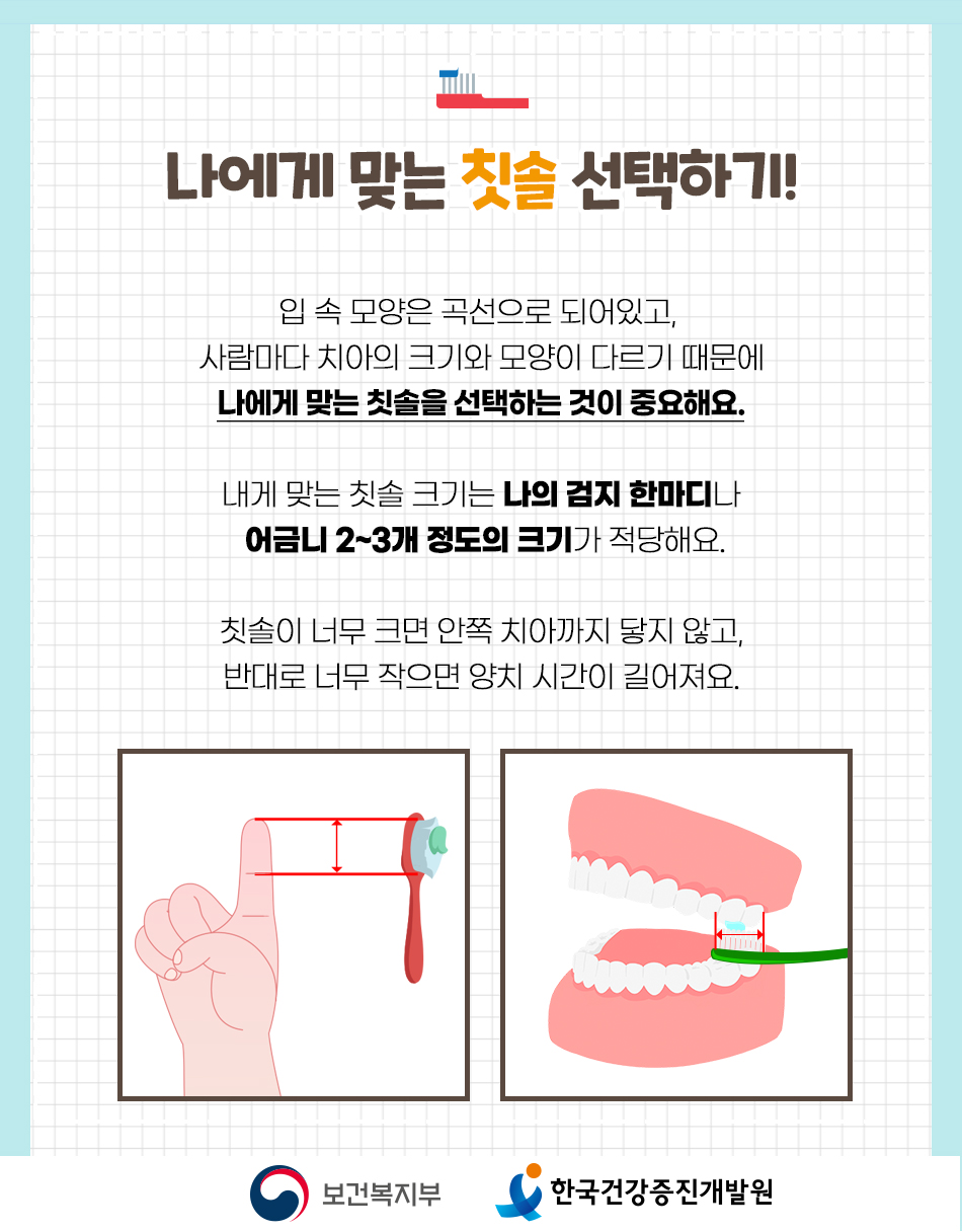 올바른 칫솔을 선택하는 방법은 손가락 검지 한 마디나 어금니 2~3개 정도의 크기가 적당합니다.