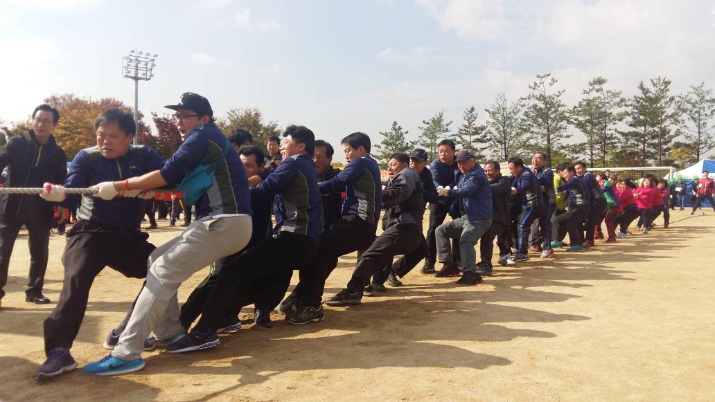 2016년 광진구민 체육대회 줄다리기