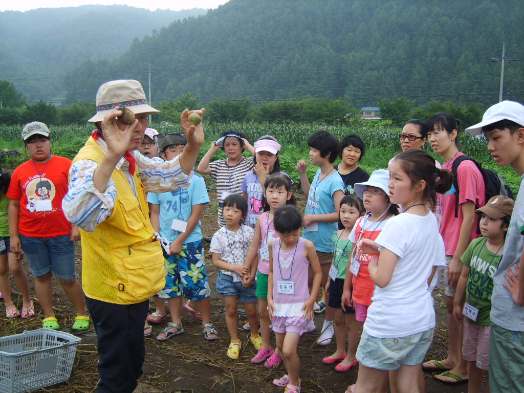 (농촌체험교실)감자수확방법 배우기