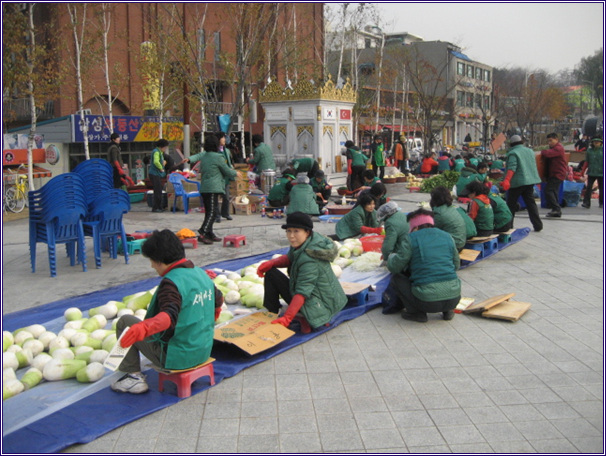  2008 사랑의 김장김치 담가주기(08.11.25) 