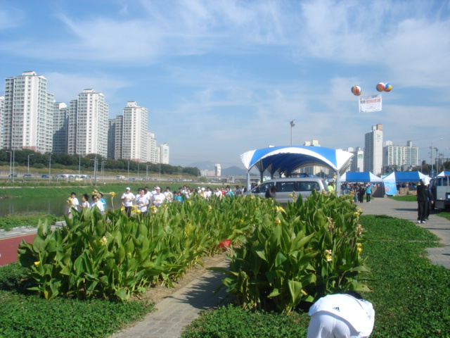 고구려축제기념 제2회광진마라톤(10.12)-중랑천변 